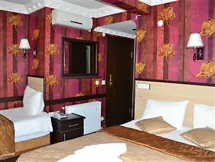 איסטמבול Ares Hotel